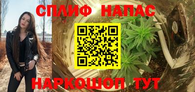 твердый Славгород