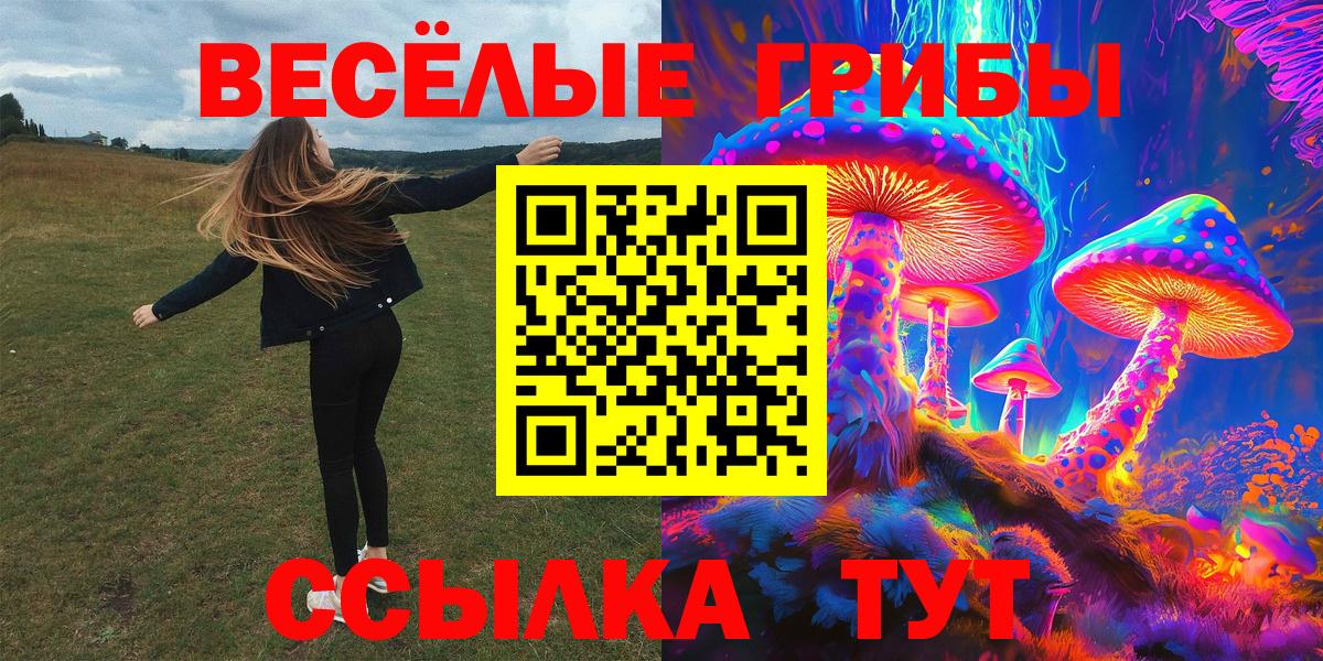 Псилоцибиновые грибы мицелий Сарапул